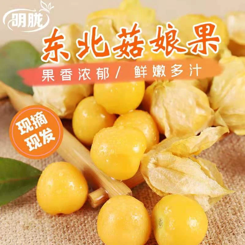 【精选果王】姑娘果灯笼果新鲜水果香甜多汁