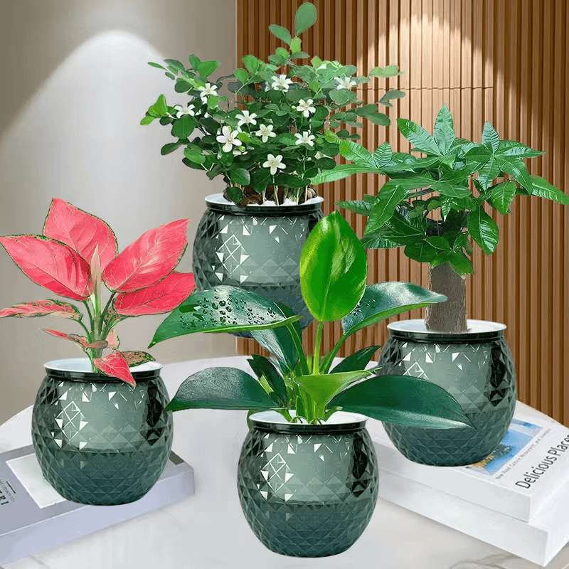 【新疆包邮】水培绿植四件套家居净化空气发财树金钻油画