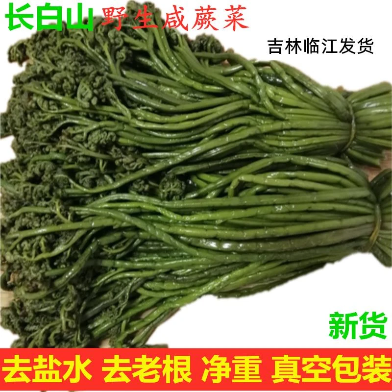 东北咸蕨菜长白山野生蕨菜腌制农家绿色腌制咸菜新货克
