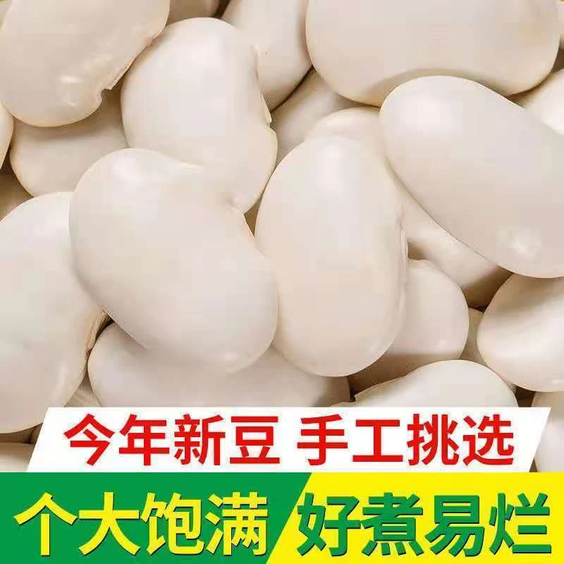 【促销中】新白芸豆大白云豆京豆大雪豆云南农家大白芸豆五谷杂粮