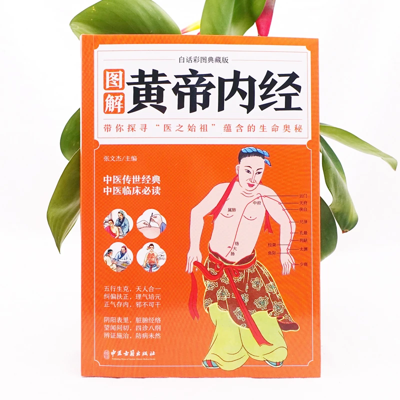 黄帝内经白话彩图典藏版中医养生家庭实用书籍