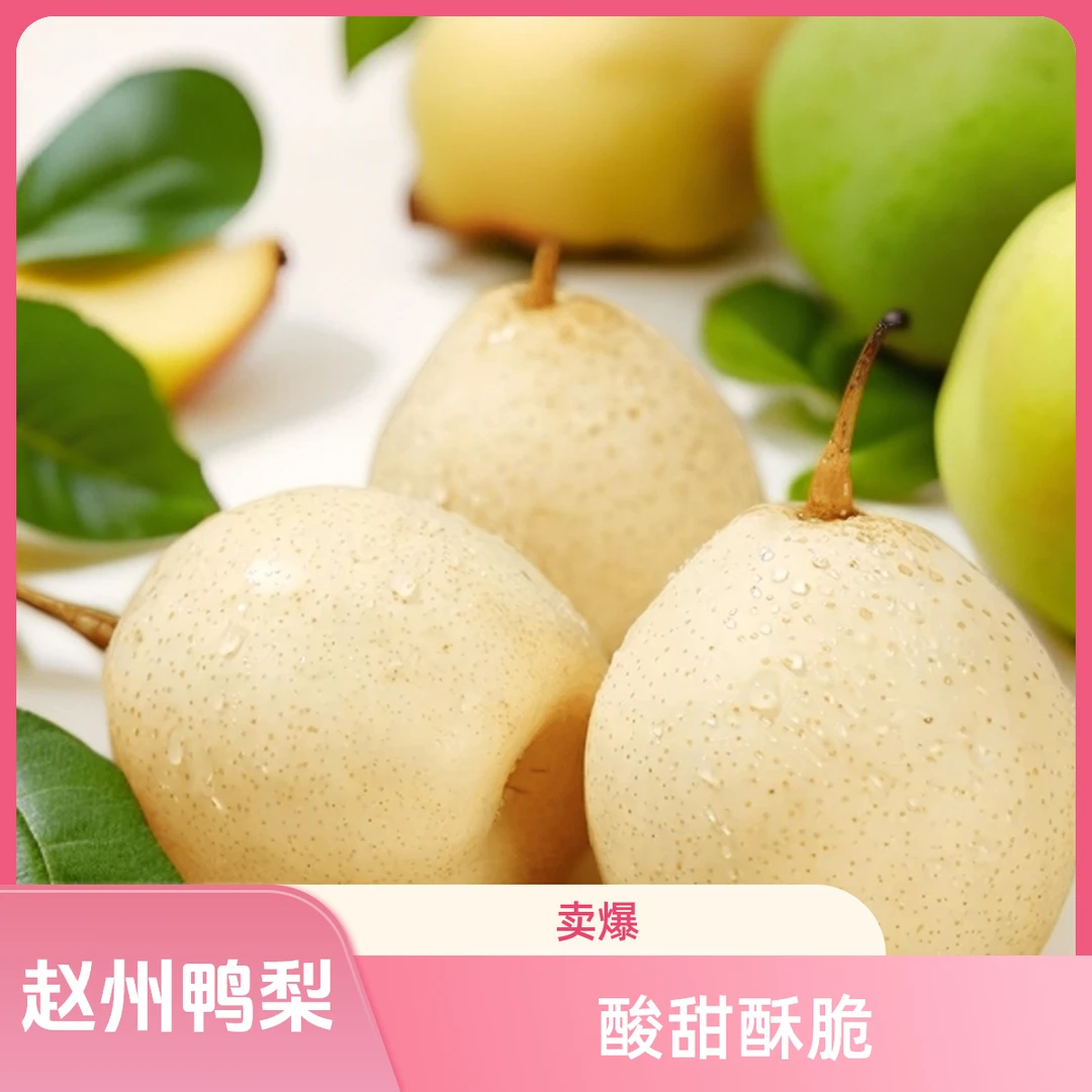 驸鲜翁河北鸭梨水晶鸭梨酸甜口感皮薄酥脆产地直发新果带箱3斤