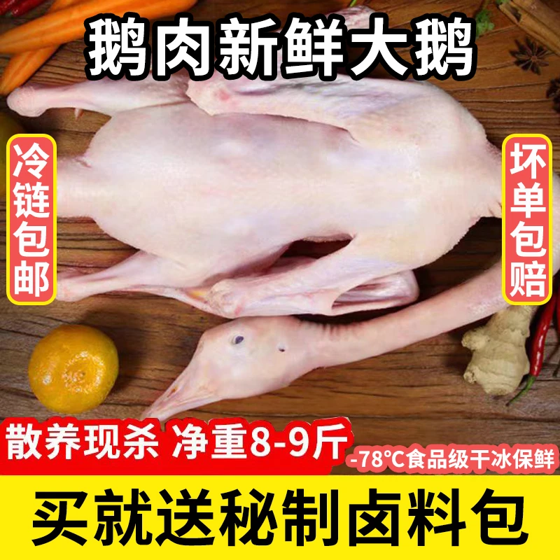 2只大鹅12斤【粉丝买一送一】大白鹅带掌翅2只净重8-9斤包邮四季鹅