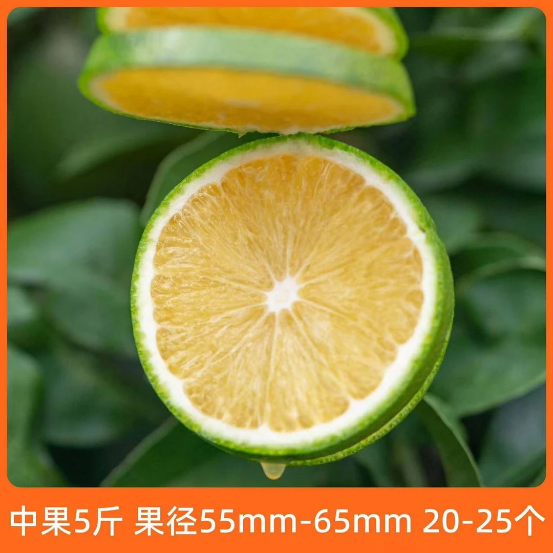 辰颐物语 云南绿皮冰糖橙5斤中大果 新鲜高原橙子皮薄肉厚新鲜