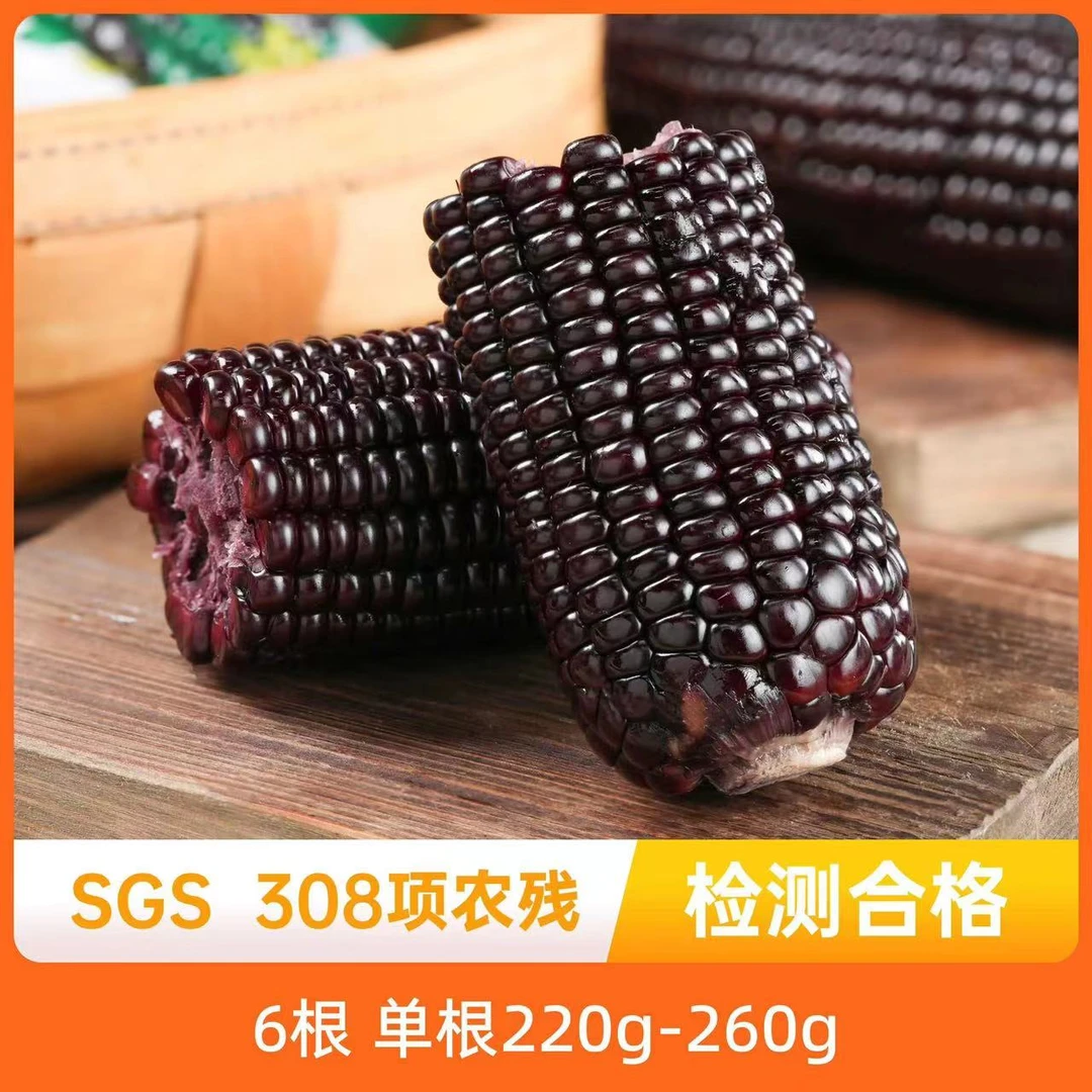辰颐物语 山西忻州黑糯玉米6根（真空包装）紫黑玉米软糯香甜拉丝