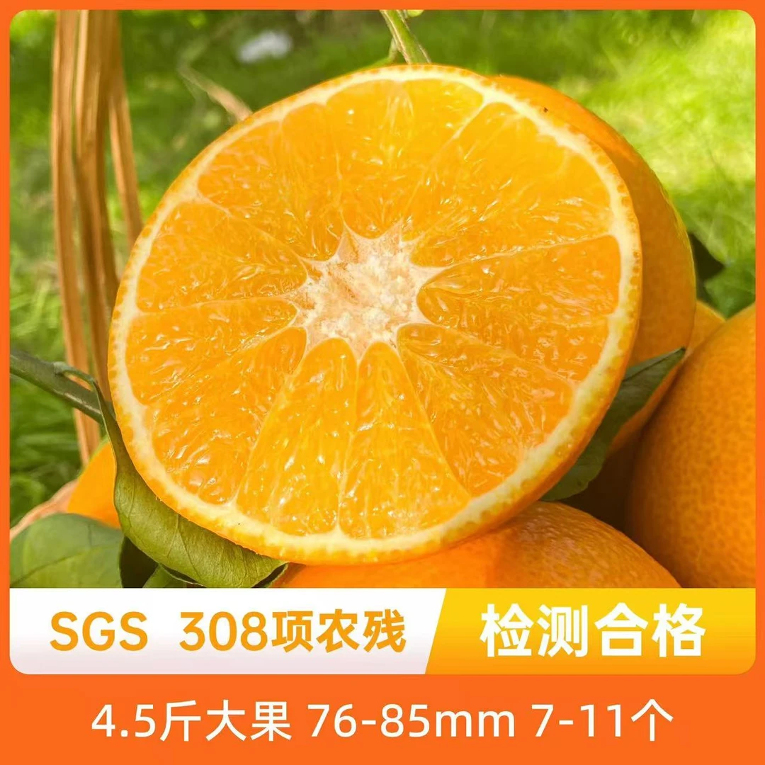 辰颐物语【买4.5斤送半斤】爱媛果冻橙38号5斤中大果爱媛38号甜橙子