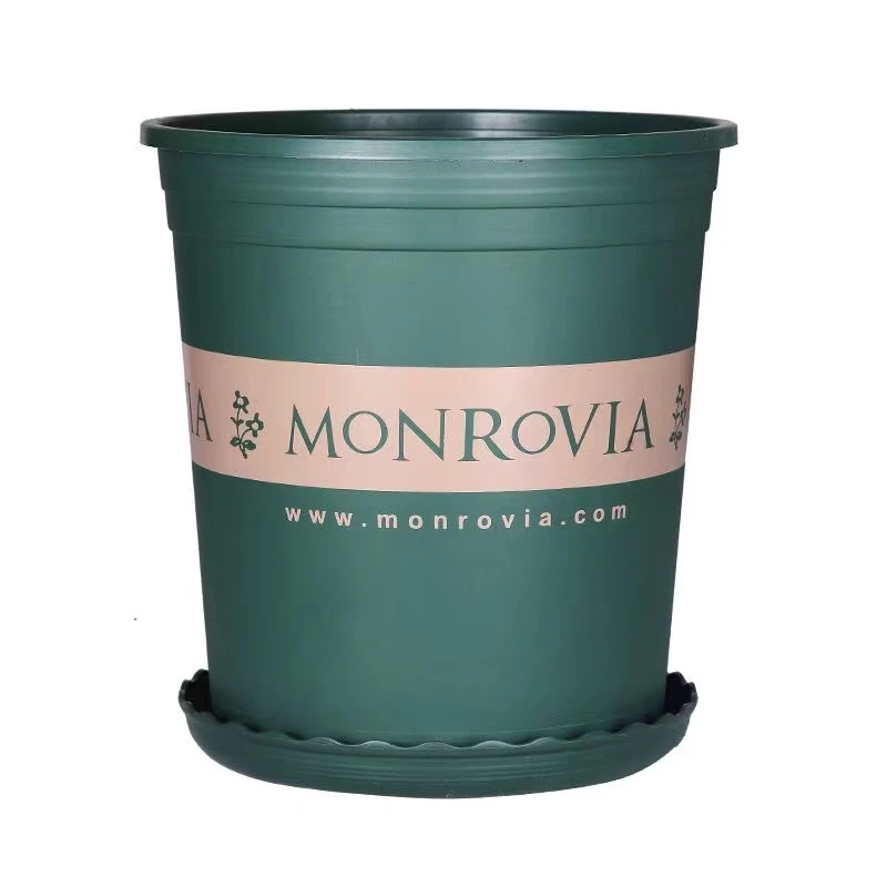 加仑盆花盆#######