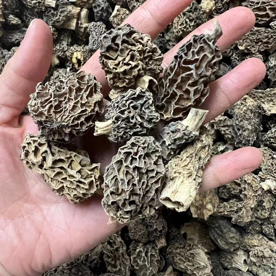 真珍来点 标4-5 羊肚菌 野