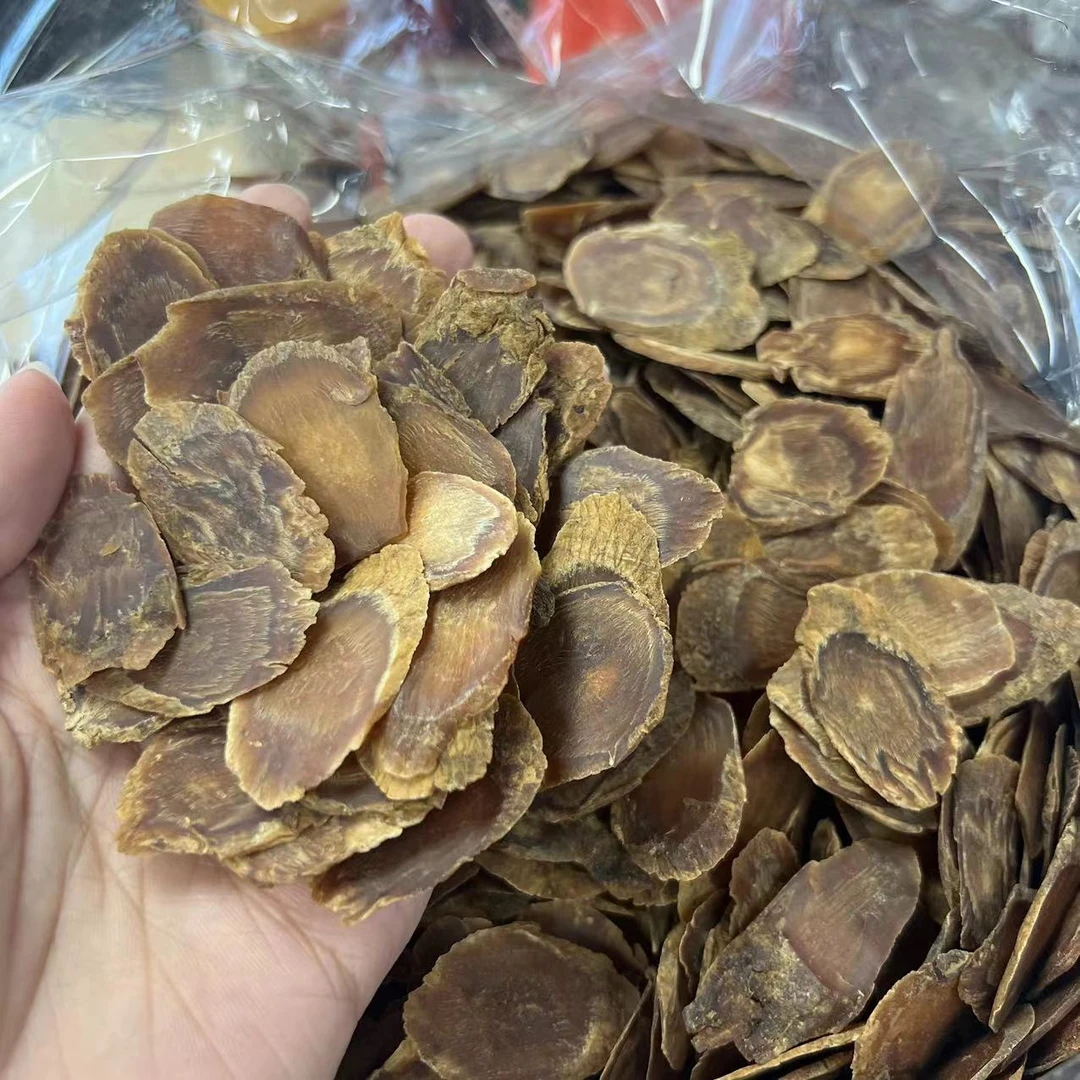 真珍来点虹参 大片（7年）