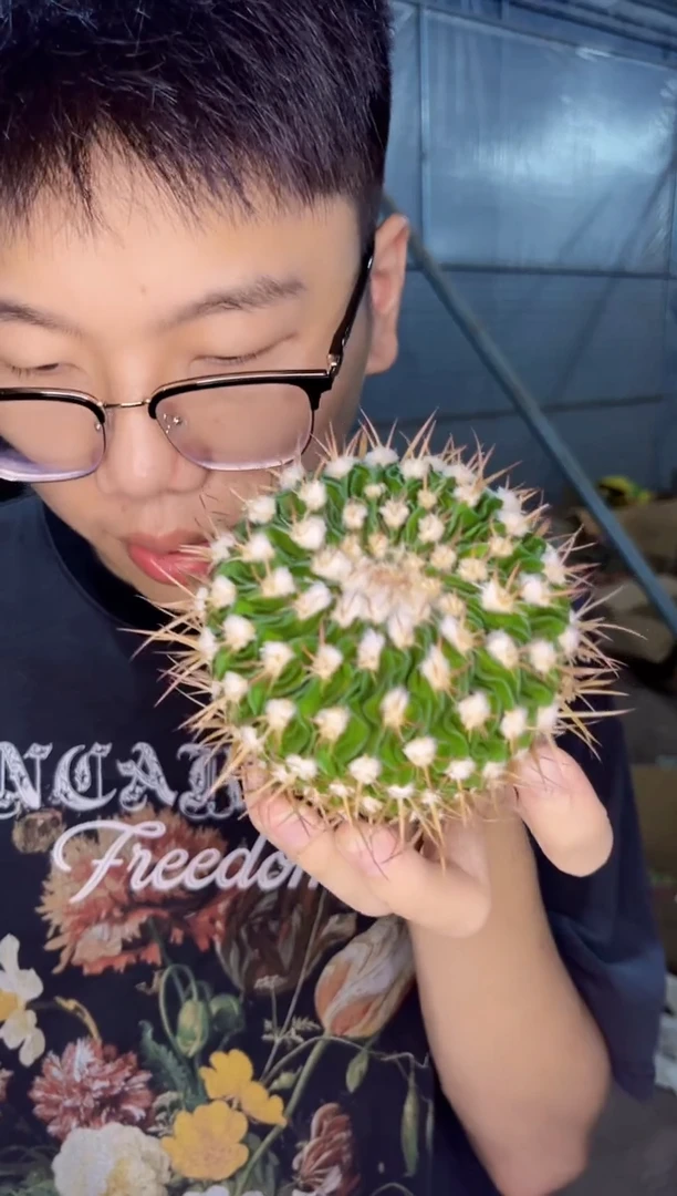 【闪购商品】雪顶 星巴克