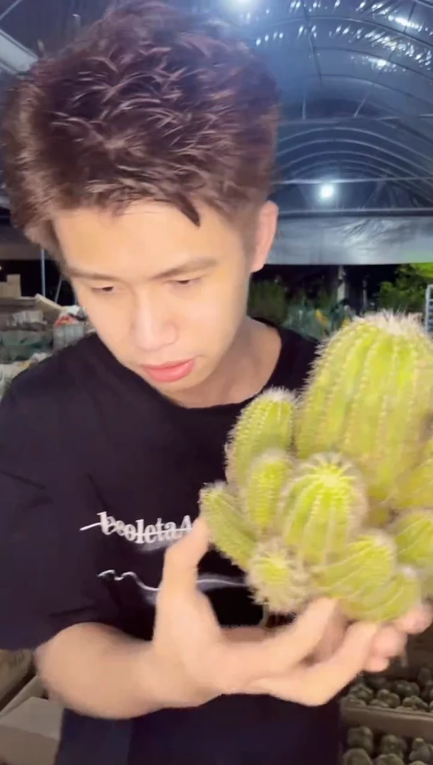 【闪购商品】银冠群生