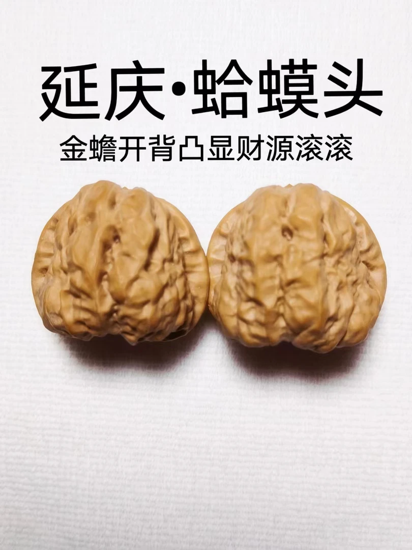 文玩核桃延庆精品蛤蟆头