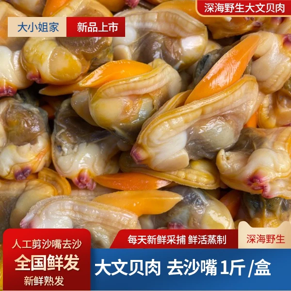 深海野生文贝 鲜活文贝现蒸鲜发2斤（70只左右）