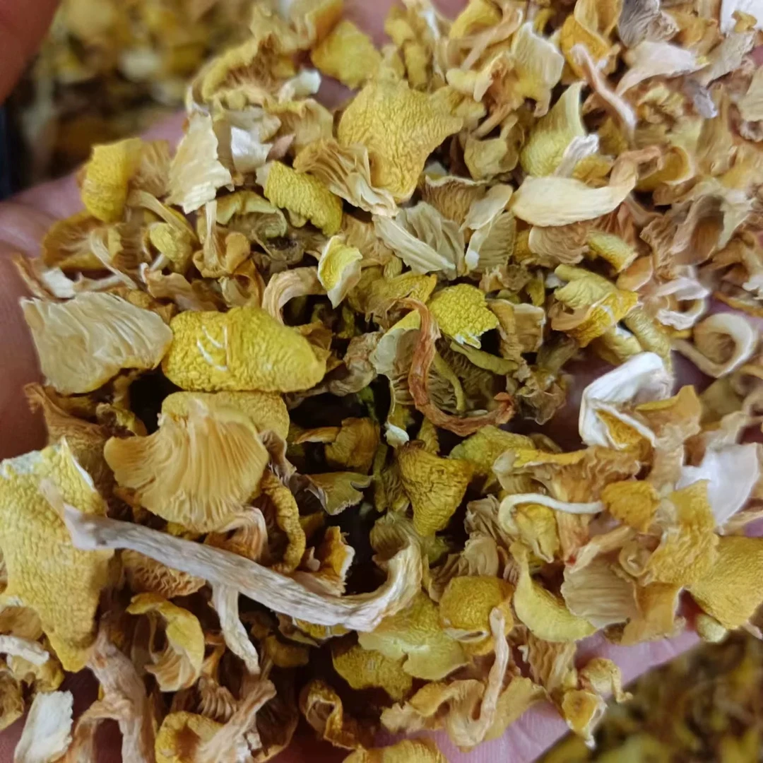 榆黄蘑碎片 包饺子馅料