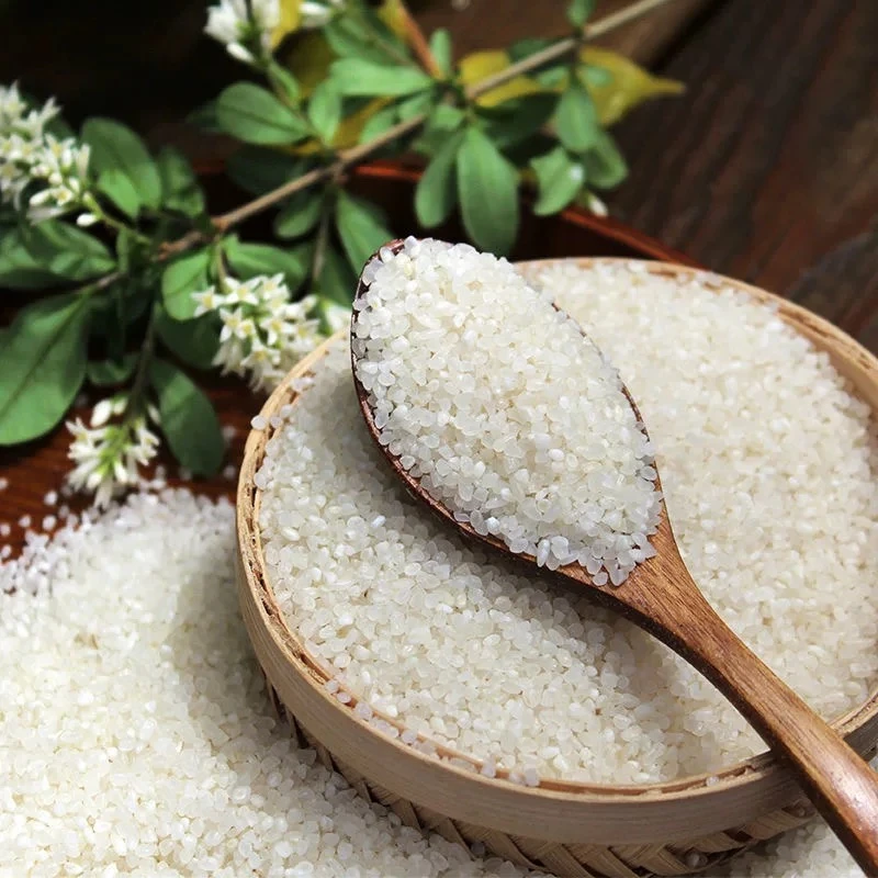 【划拉哥专属】粥米2025年碎米 五常粥米 宝宝粥 月子粥