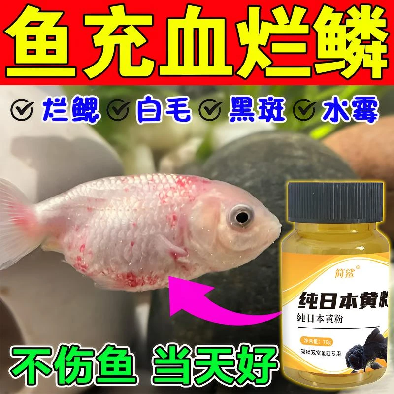 鱼用黄粉万能水族鱼缸专用黄粉竖鳞烂鳍白点白毛身上黑点鱼缸专用