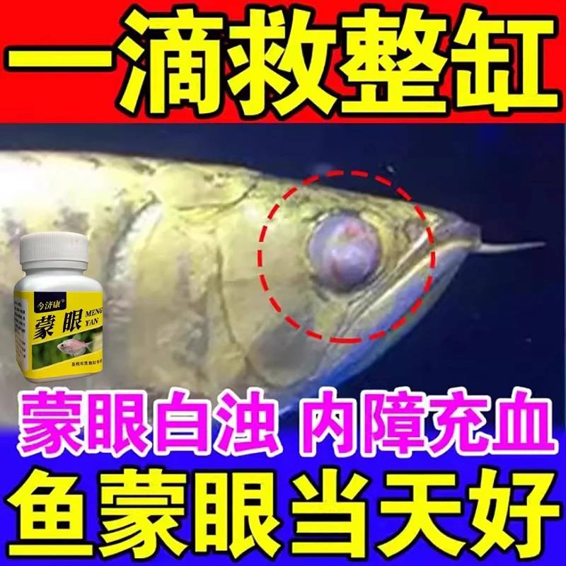 蒙眼专用鱼烂尾烂身白点水霉炸鳞鱼缸池鱼白眼金鱼龙鱼蒙眼专用粉