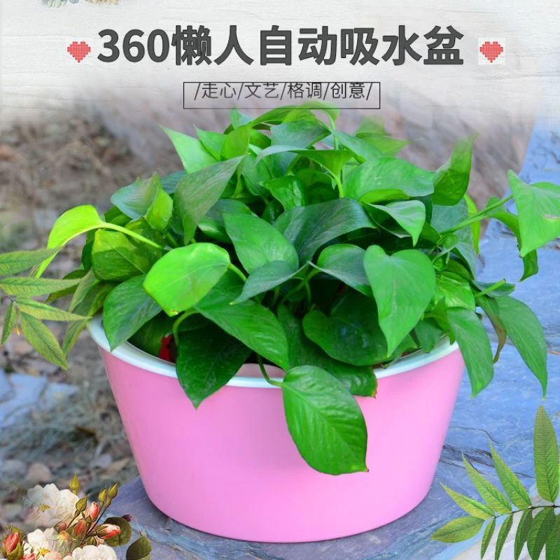 新款自动吸水懒人花盆特大绿萝花卉桌面客厅阳台花架双层树脂花盆