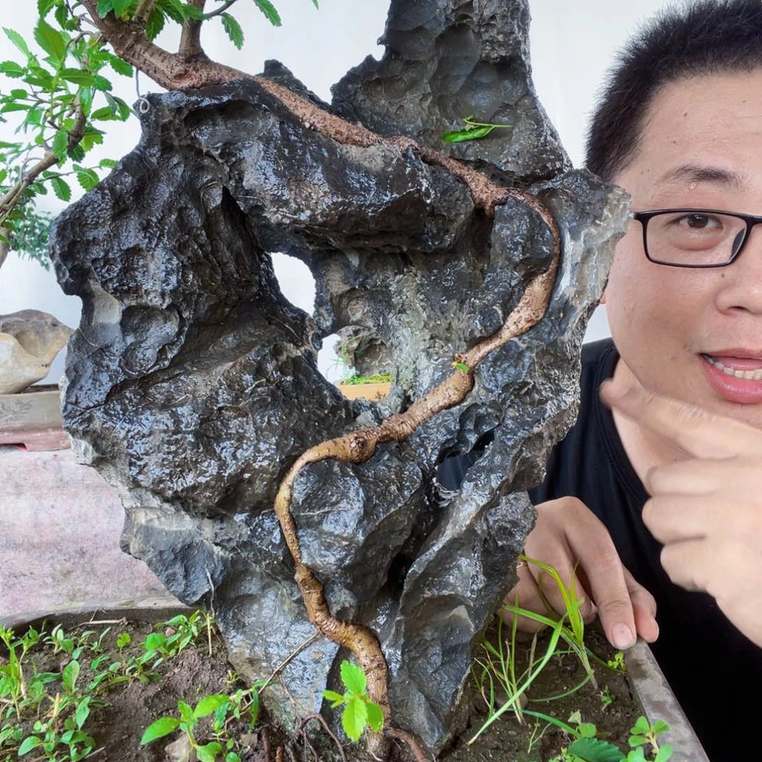 红陶20CM（含）-50CM（不含）云****业