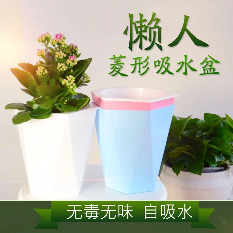 懒人花盆自动吸水全新树脂塑料半透明圆形厚大中小简约水培绿萝