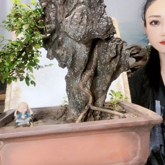 红陶20CM（含）-50CM（不含）吊*