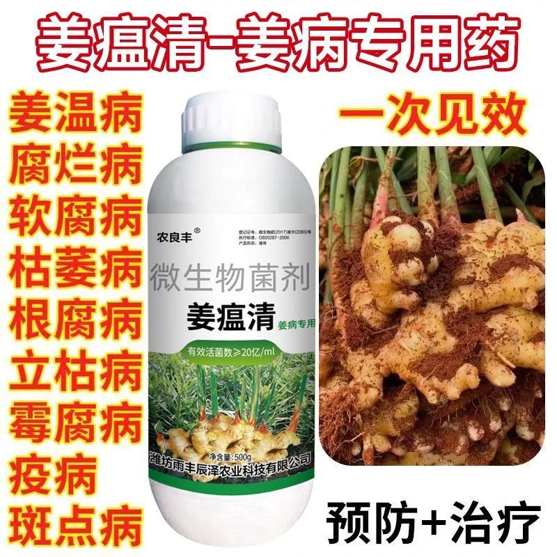 正品大姜姜专用药姜瘟清专用农药黄叶姜瘟烂脖子姜瘟病专用药防治