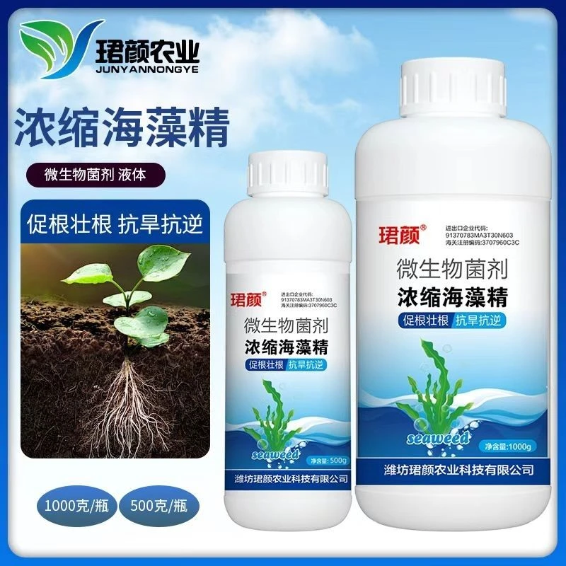 海藻精有机正品绿叶促根壮根通用大田作物靓果水溶抗逆浓缩液体