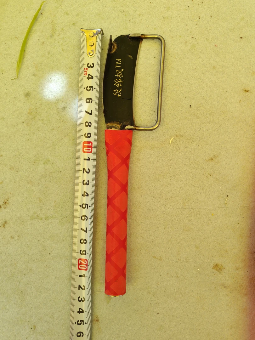 贡菜莴苣特大号削皮刀削皮神器好帮手