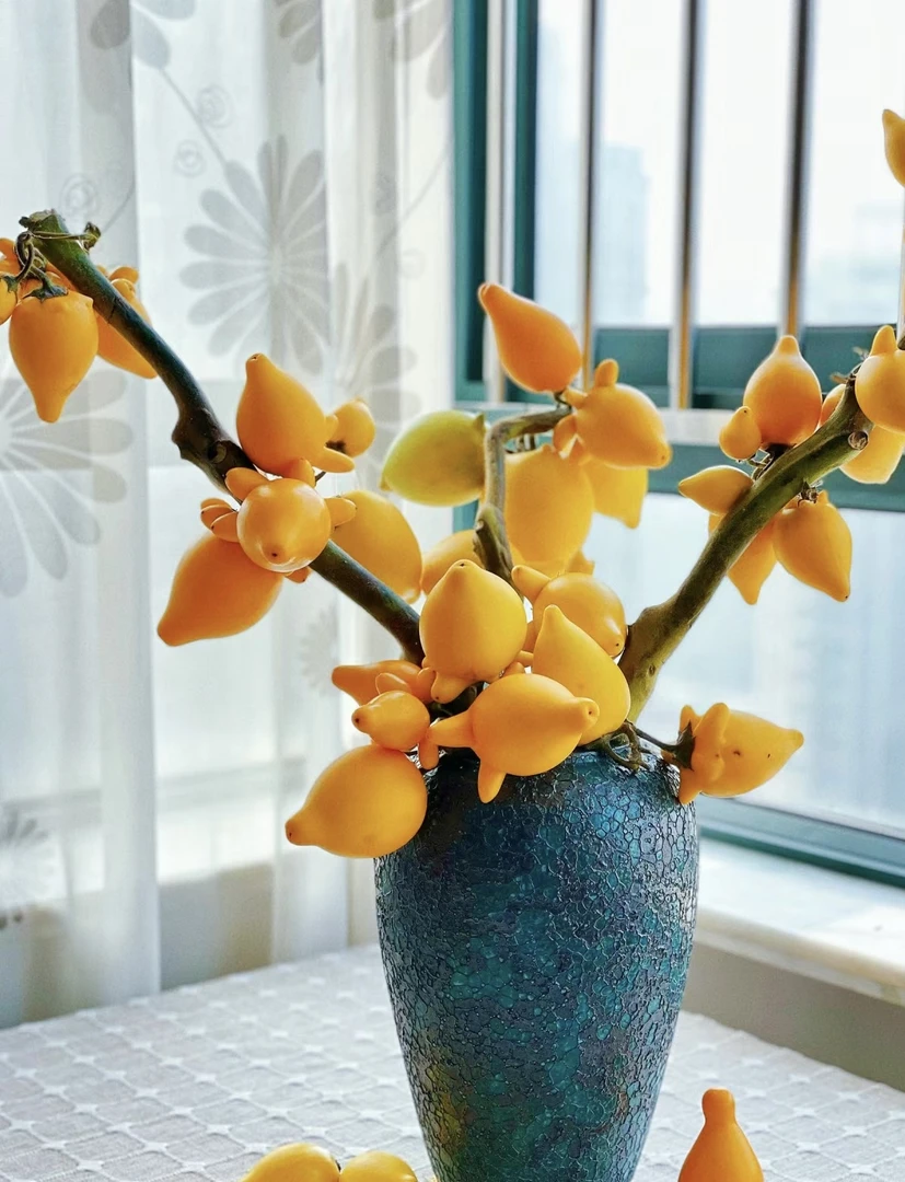 云南鲜花五代果一支