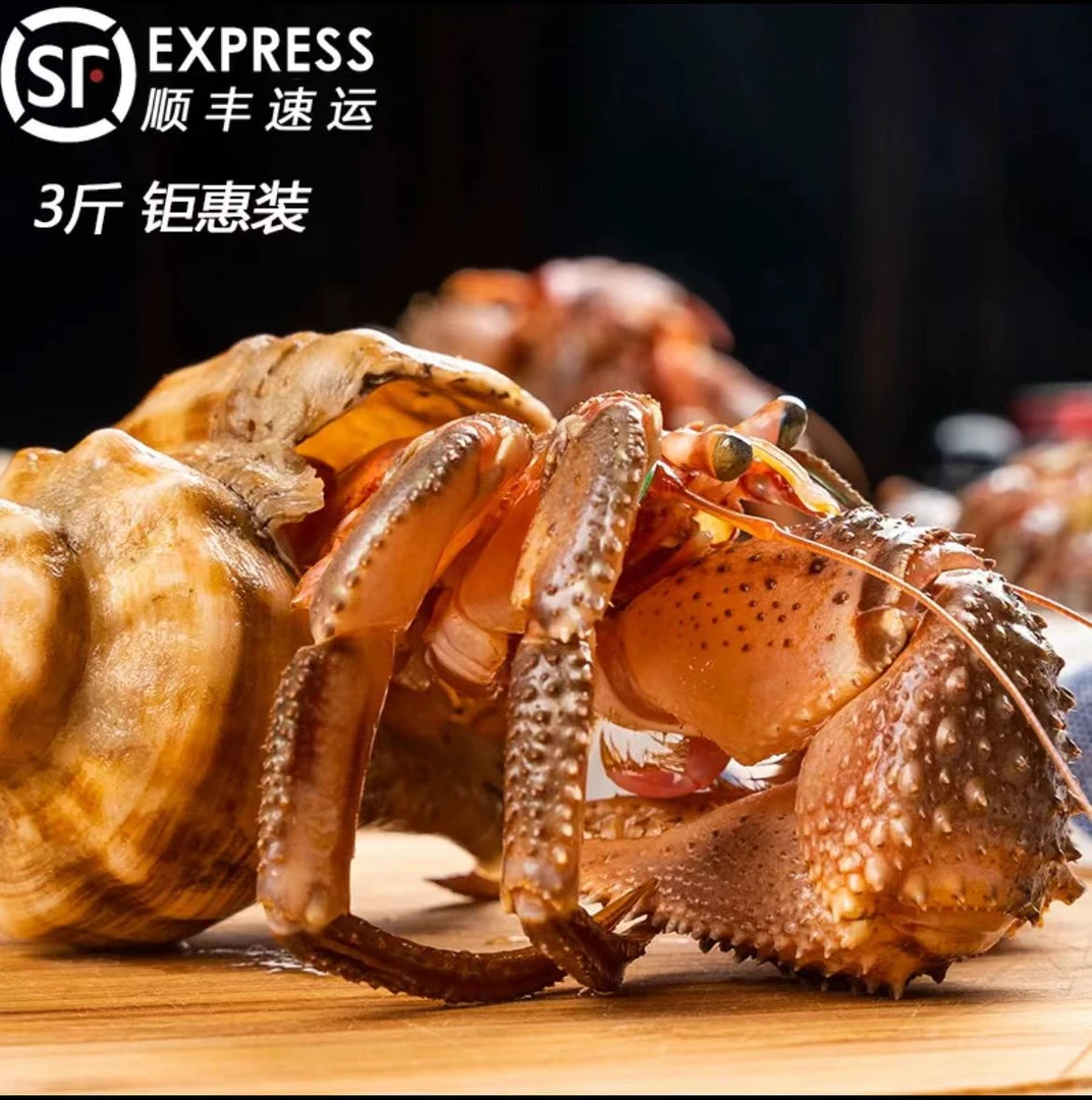 虾怪鲜活带壳3斤  产地直发 大连威海特产 保鲜不保活 顺丰快递