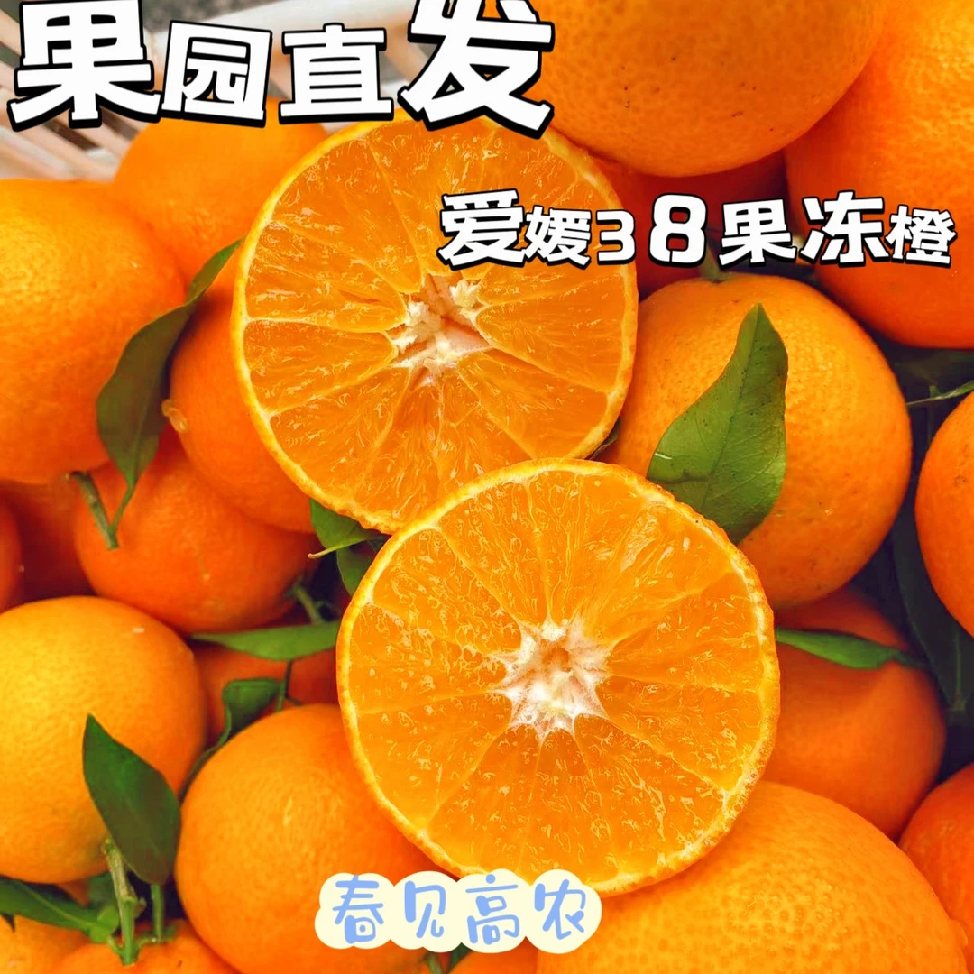 【春见高农】爱媛38果冻橙新鲜应季水果多汁鲜嫩自家果园现采现发
