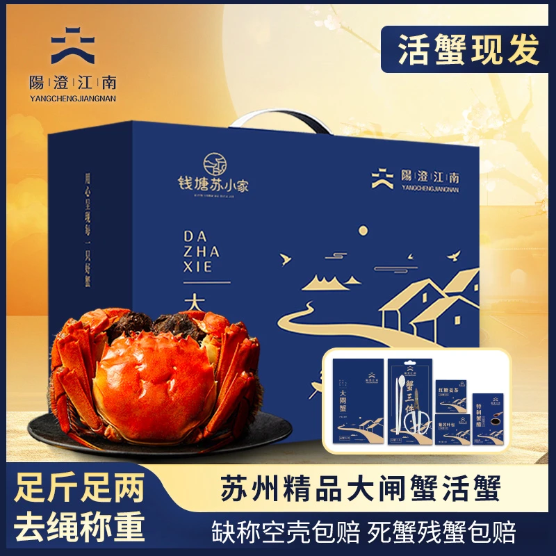 【活蟹】阳澄江南 精品大闸蟹 全母蟹2.1-2.4两 8只装