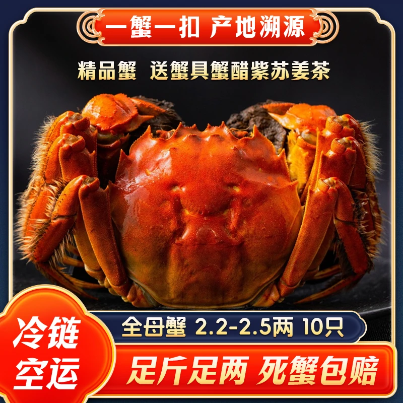 【江苏活蟹】大闸蟹现货全母蟹现货2.5-2.2两10只鲜活螃蟹礼盒装