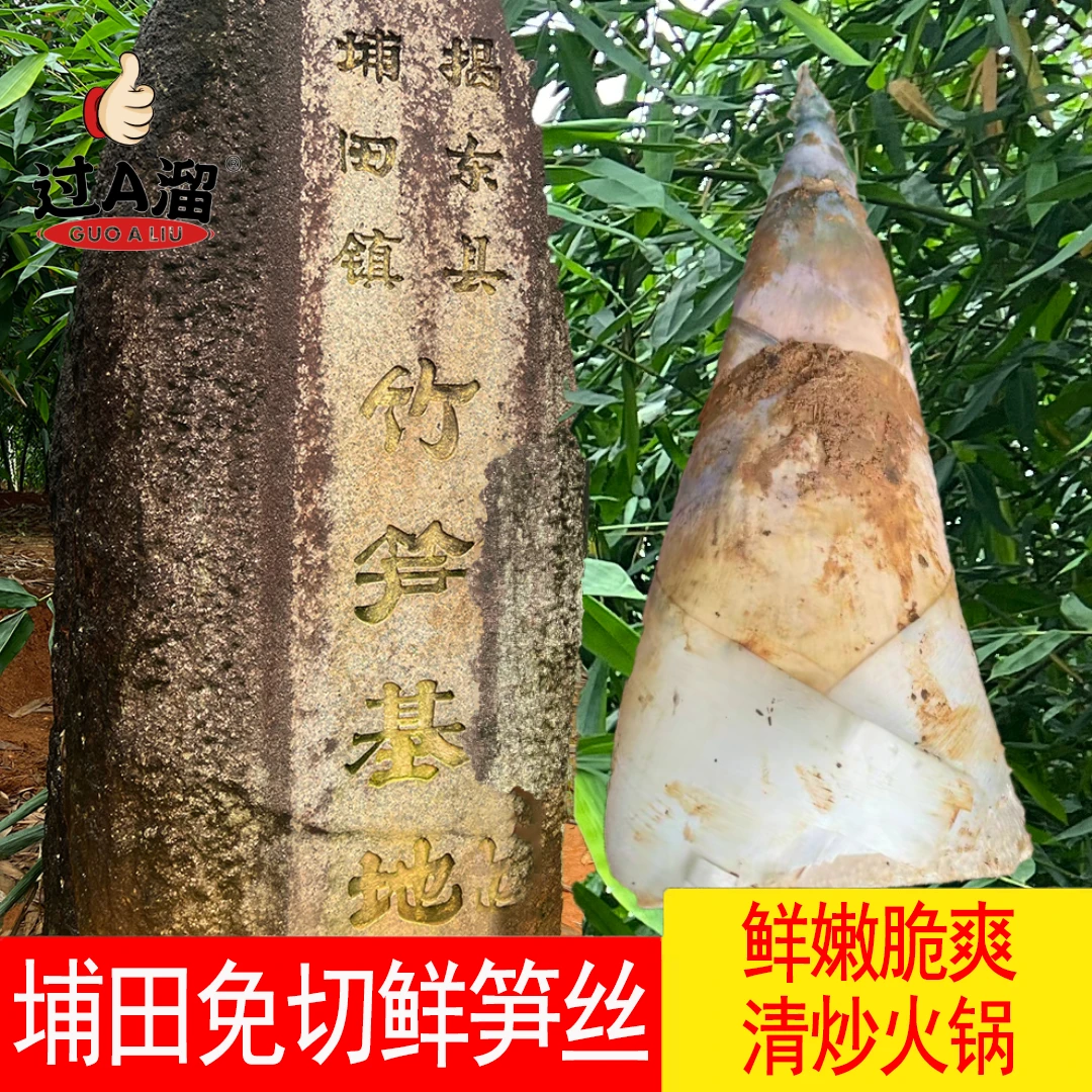 三老姨潮汕埔田竹笋特产清水笋丝柳叶笋片火锅凉拌馅料脆嫩500g袋