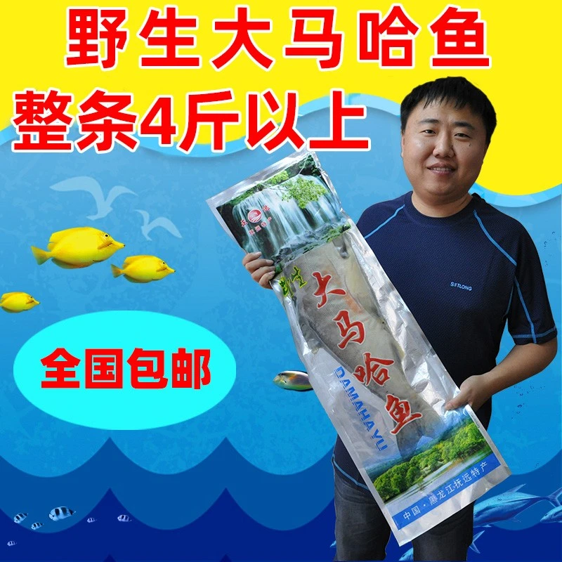 【4斤装】东北特产新鲜腌制抚远大马哈鱼洄游鱼整条咸鱼 包邮