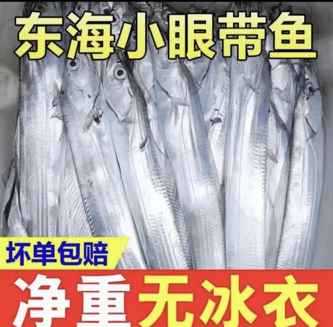 【顺丰冷链】包邮东海小眼带鱼5斤新鲜速冻发货
