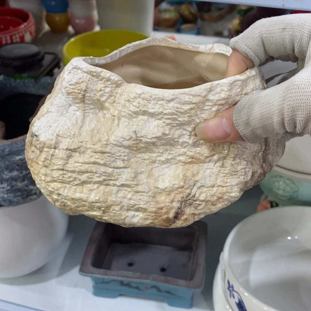 红陶20CM(含)-50CM(不含)