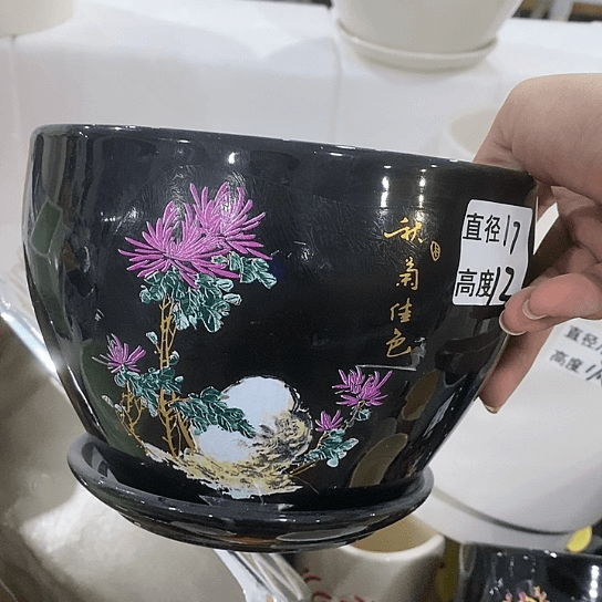 红陶20CM（含）-50CM（不含）
