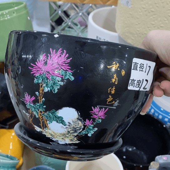 红陶20CM（含）-50CM（不含）