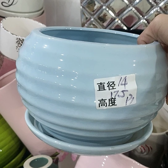 红陶20CM(含)-50CM(不含)