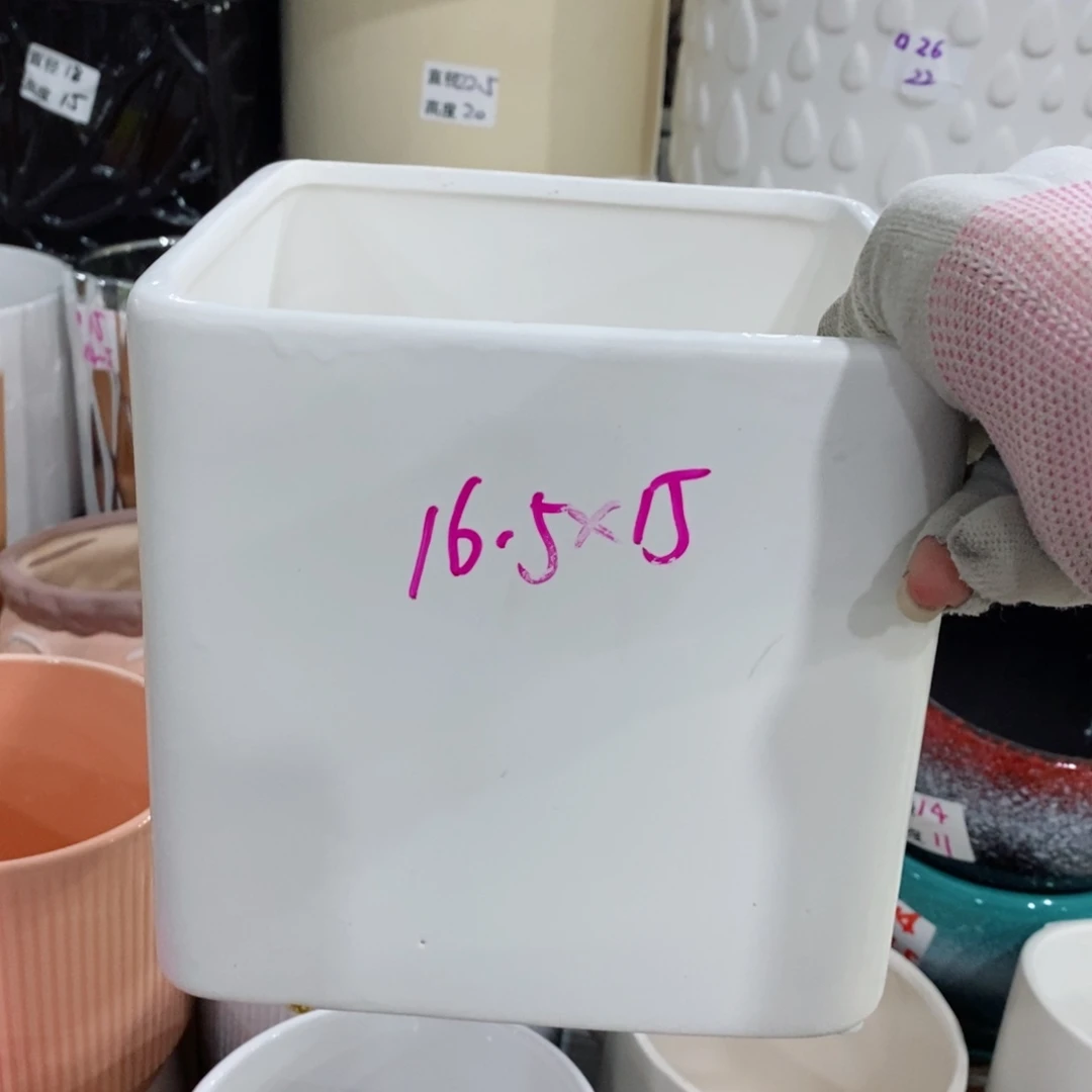 红陶20CM（含）-50CM（不含）