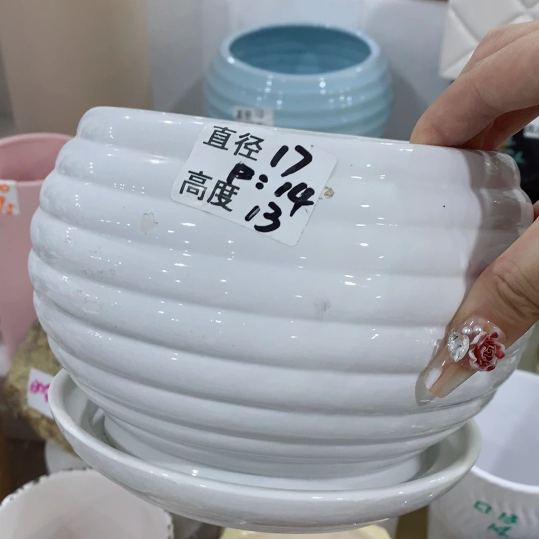 红陶20CM（含）-50CM（不含）