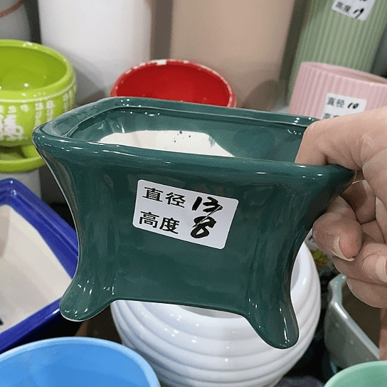 红陶20CM（含）-50CM（不含）