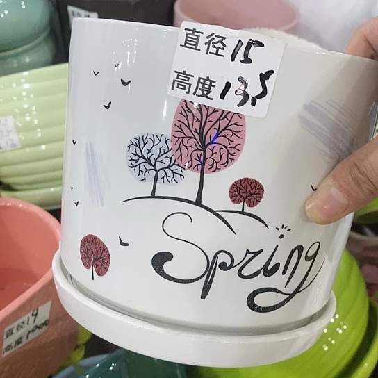 红陶20CM（含）-50CM（不含）