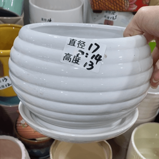 红陶20CM（含）-50CM（不含）