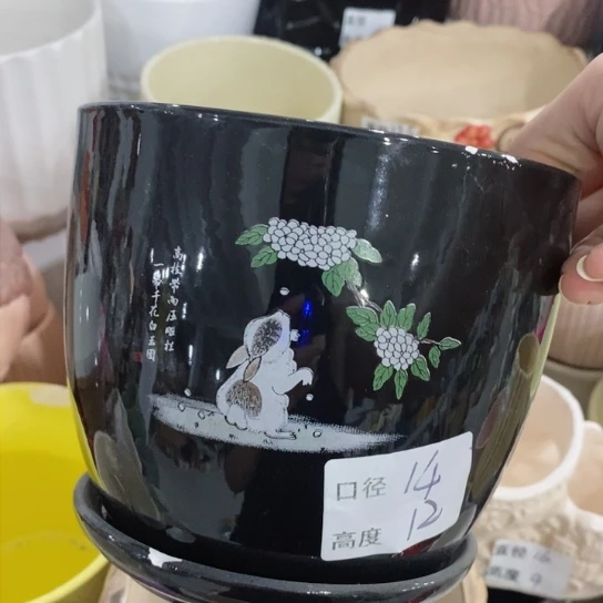 红陶20CM（含）-50CM（不含）