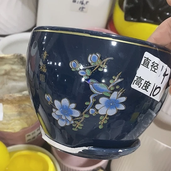 红陶20CM(含)-50CM(不含)