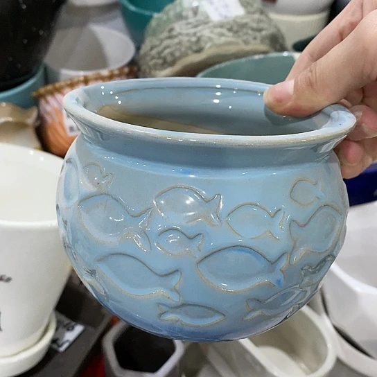 红陶20CM（含）-50CM（不含）