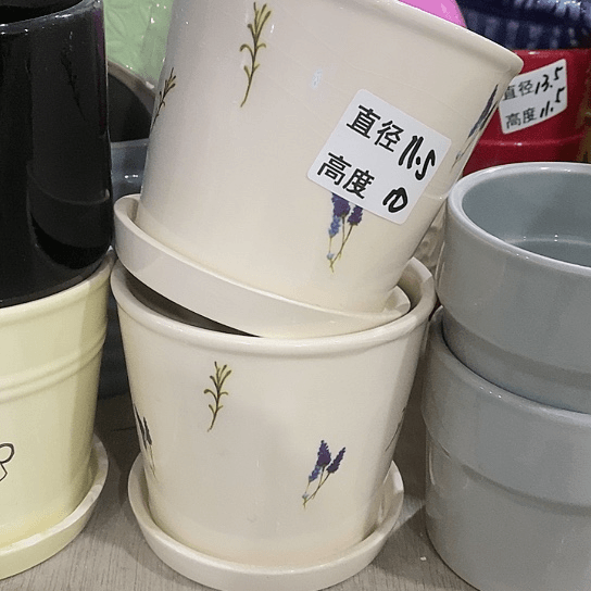 红陶20CM（含）-50CM（不含）