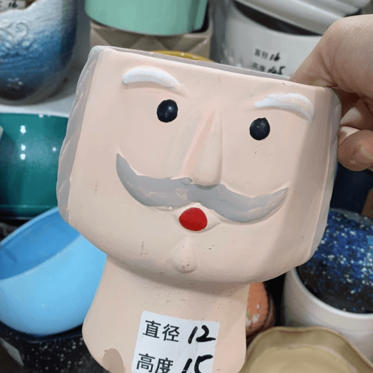 红陶20CM（含）-50CM（不含）